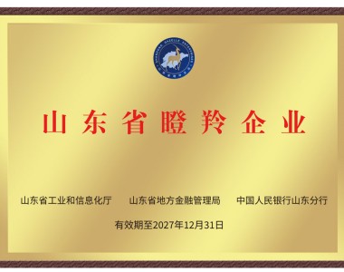 山东省瞪羚企业